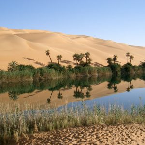 Oasis Libya