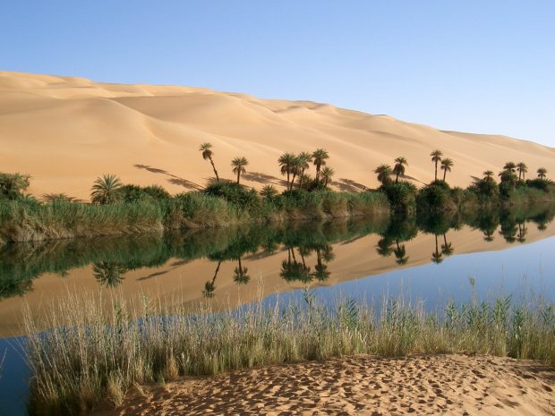 Oasis Libya