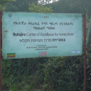 Butajira Center of Excellence for Horticulture next to Butajera, a town south of Addis Abbaba