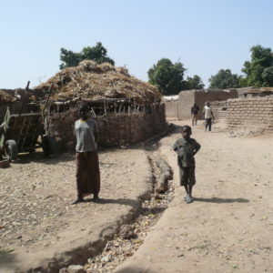 Dorf in Mali: Afrika ist in weiten Teilen ein friedlicher Kontinent geworden