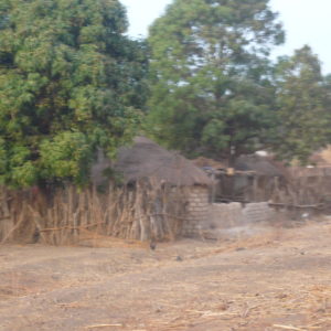 Village in the Sahel zone in southern Mali (c) Christian v. Hiller