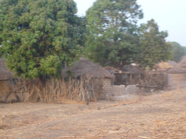 Village in the Sahel zone in southern Mali (c) Christian v. Hiller